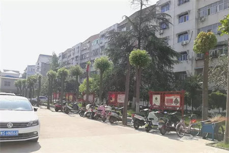 西郊花园二期！电梯洋房！全明户型！西郊一中